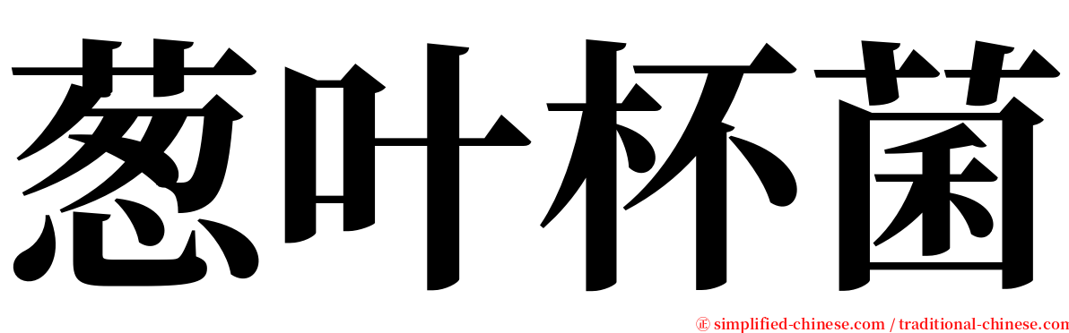 葱叶杯菌 serif font