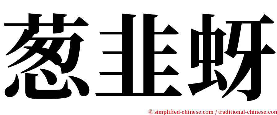 葱韭蚜 serif font