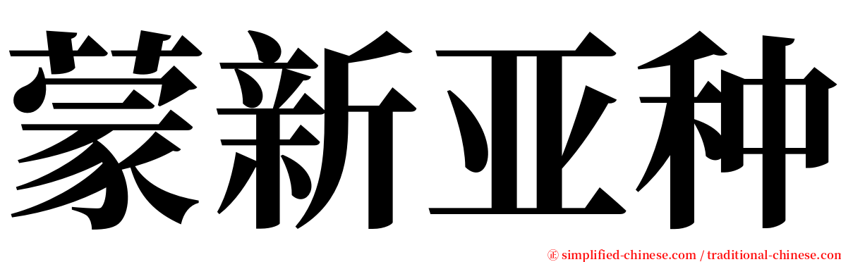 蒙新亚种 serif font