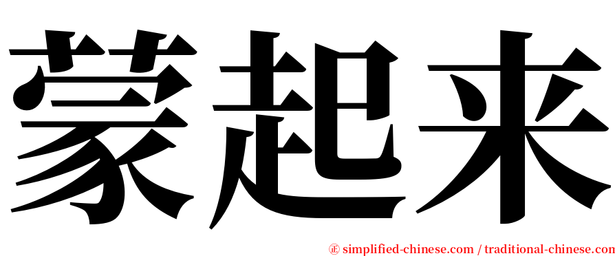 蒙起来 serif font