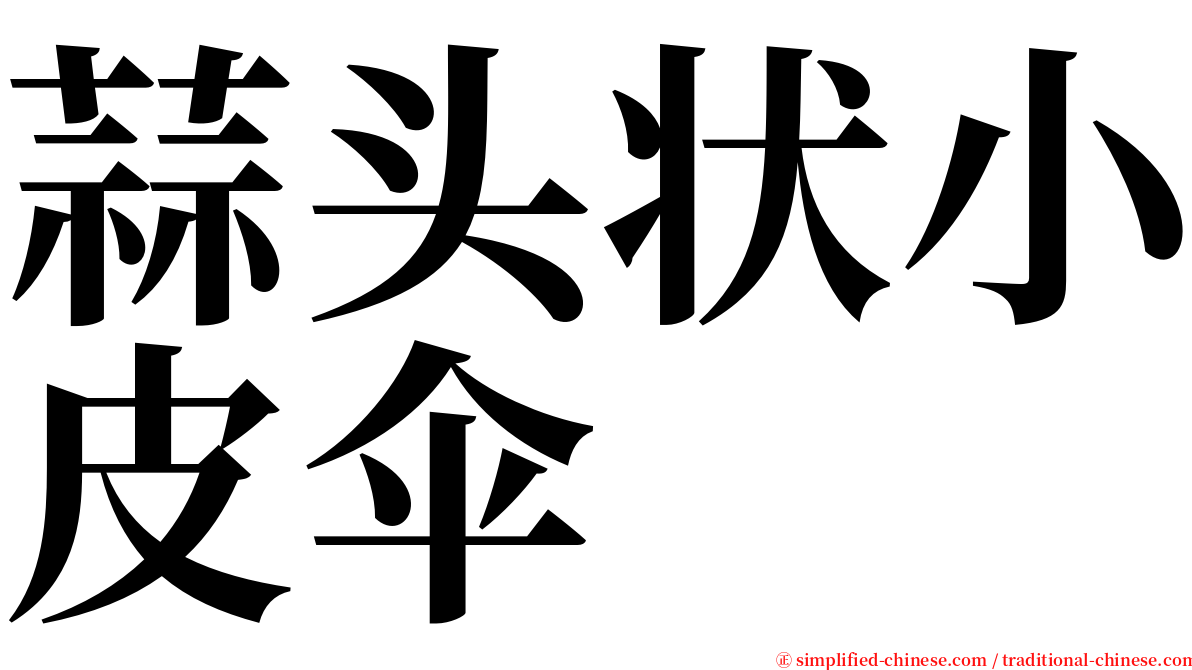 蒜头状小皮伞 serif font