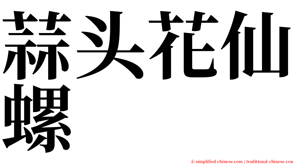 蒜头花仙螺 serif font