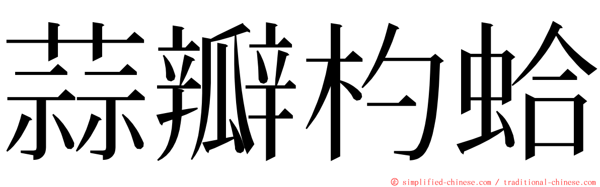 蒜瓣杓蛤 ming font