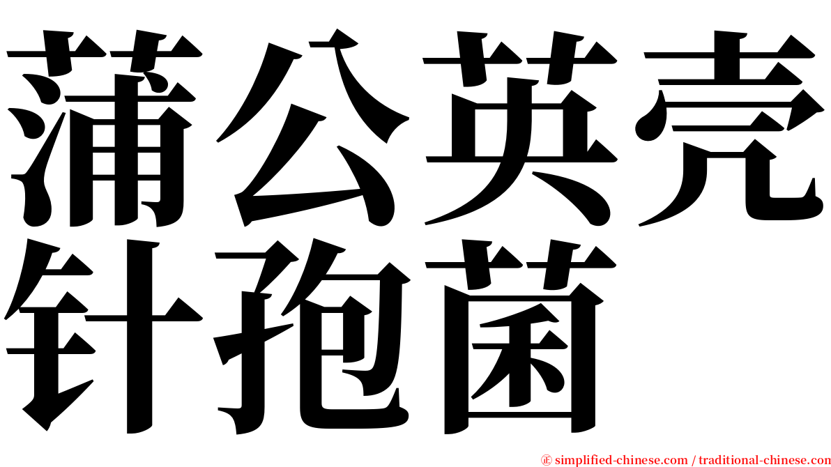 蒲公英壳针孢菌 serif font