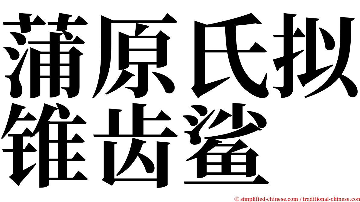 蒲原氏拟锥齿鲨 serif font