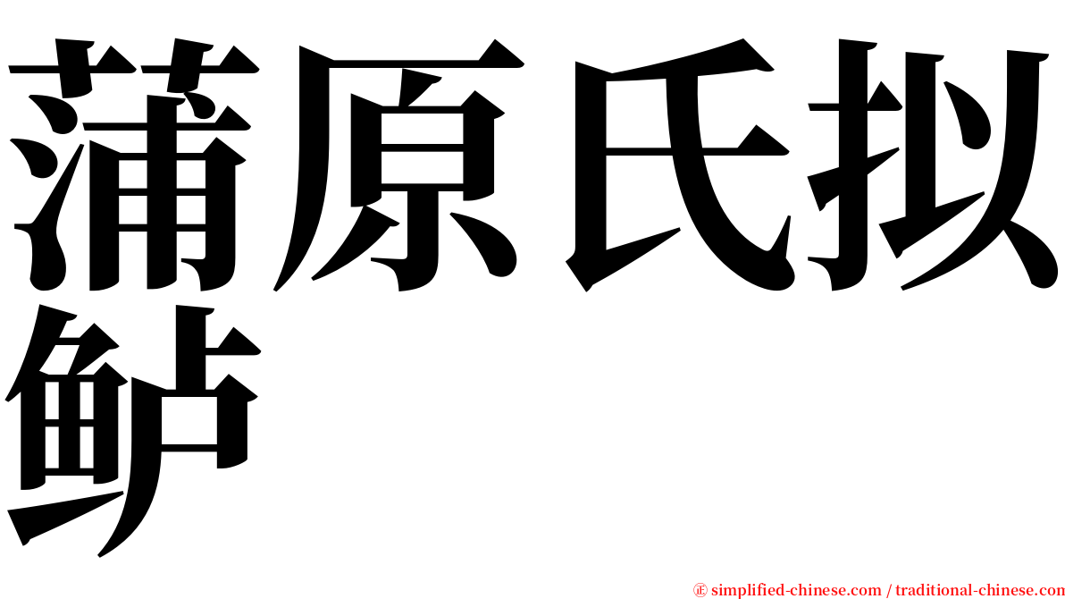 蒲原氏拟鲈 serif font