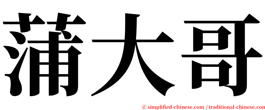 蒲大哥 serif font