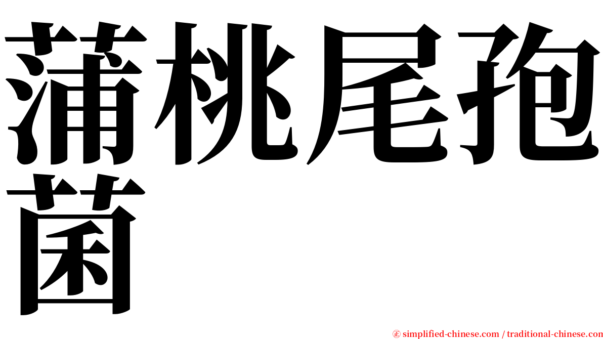 蒲桃尾孢菌 serif font