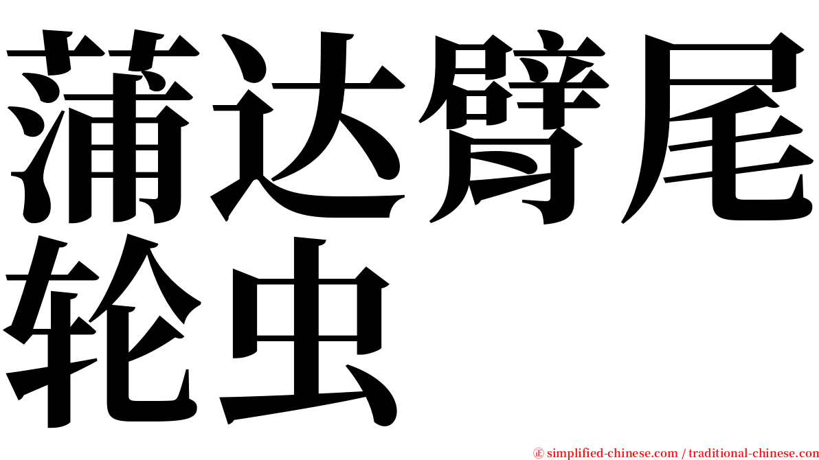 蒲达臂尾轮虫 serif font