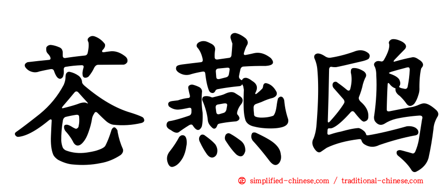 苍燕鸥