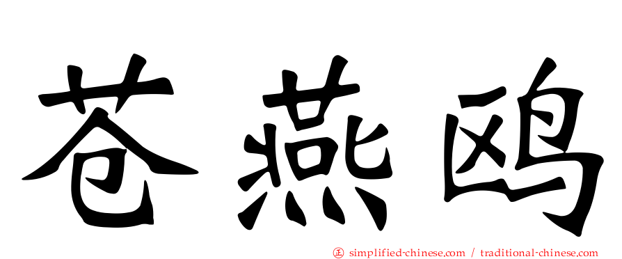 苍燕鸥