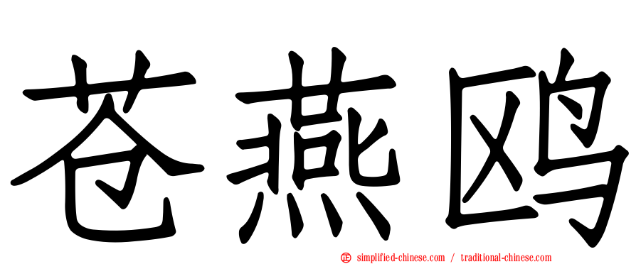 苍燕鸥