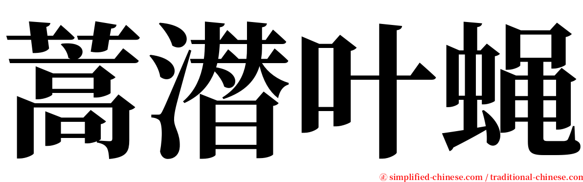 蒿潜叶蝇 serif font