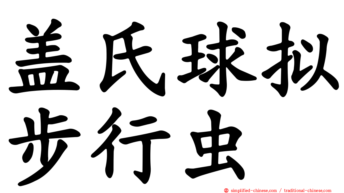 盖氏球拟步行虫