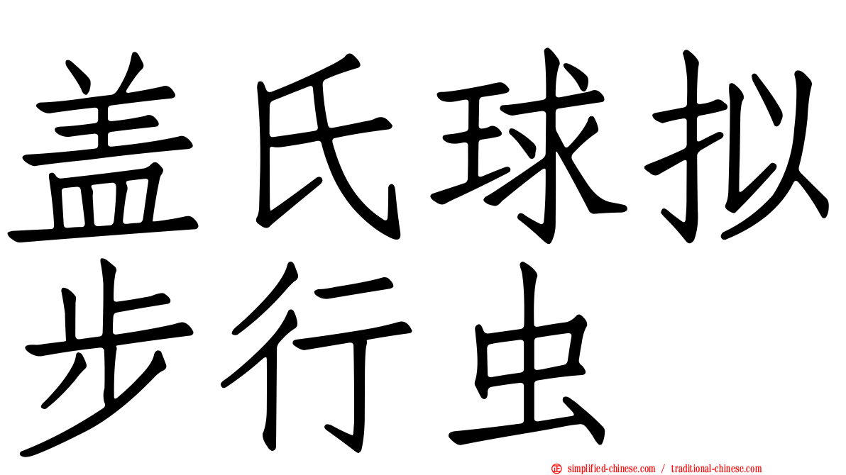 盖氏球拟步行虫