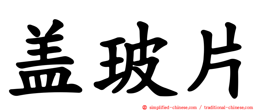 盖玻片