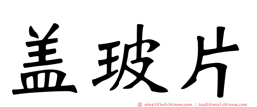 盖玻片