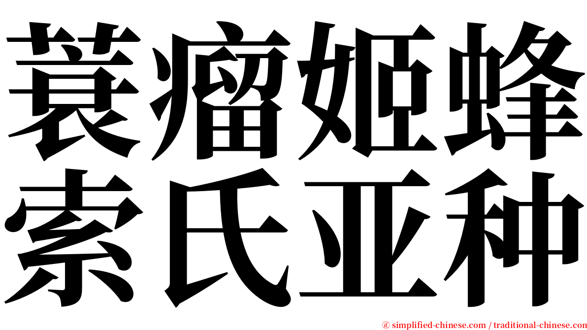 蓑瘤姬蜂索氏亚种 serif font