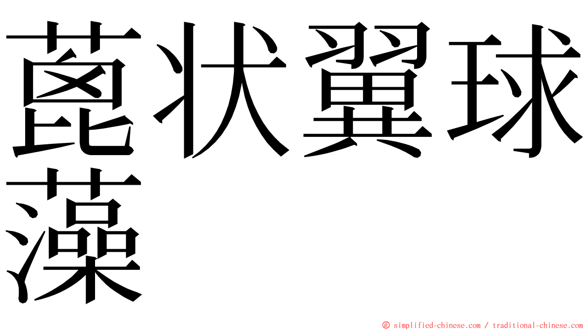 蓖状翼球藻 ming font