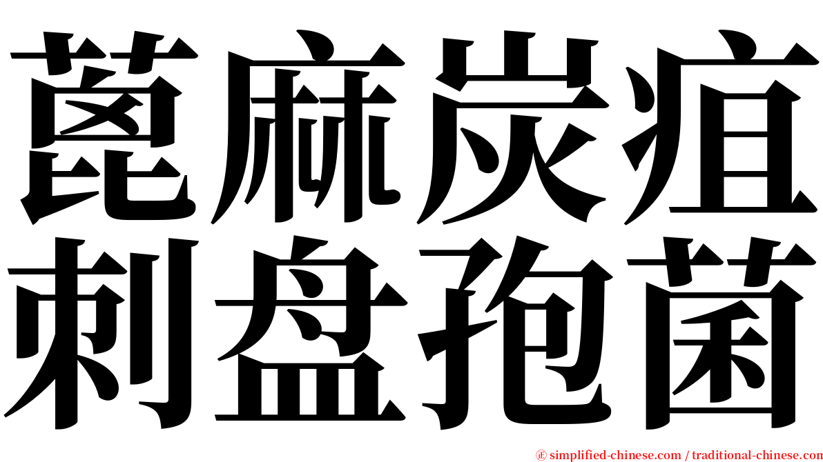 蓖麻炭疽刺盘孢菌 serif font