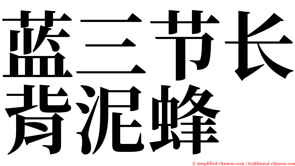 蓝三节长背泥蜂 serif font