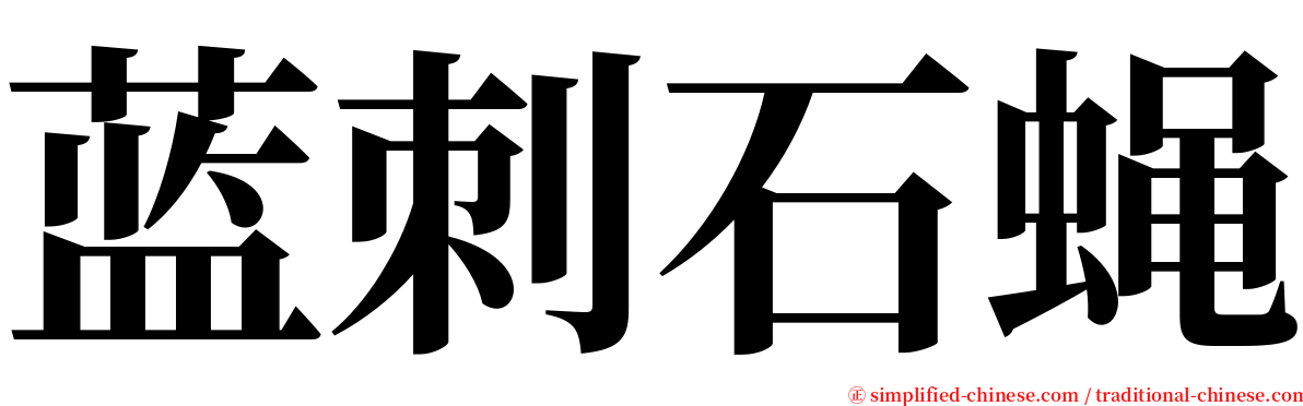 蓝刺石蝇 serif font