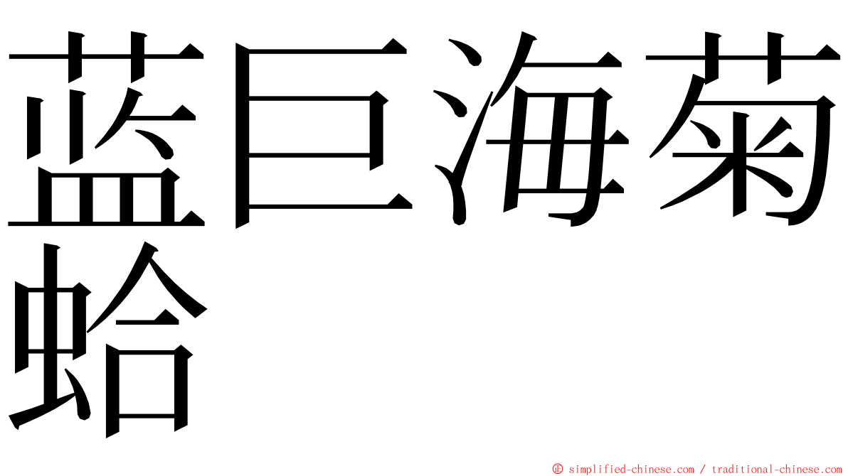 蓝巨海菊蛤 ming font