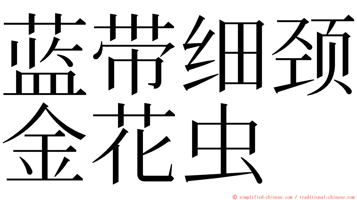 蓝带细颈金花虫 ming font