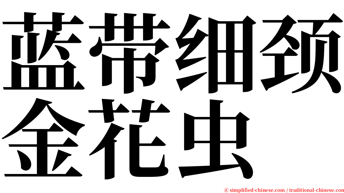 蓝带细颈金花虫 serif font