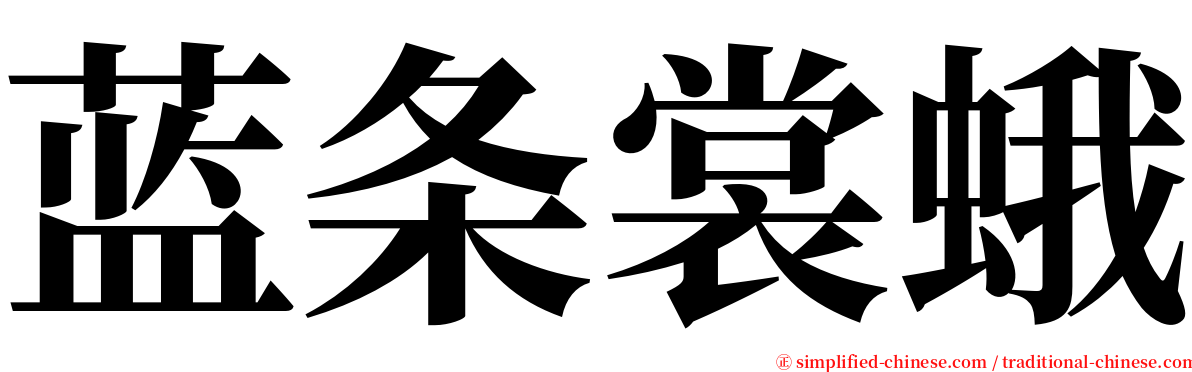 蓝条裳蛾 serif font