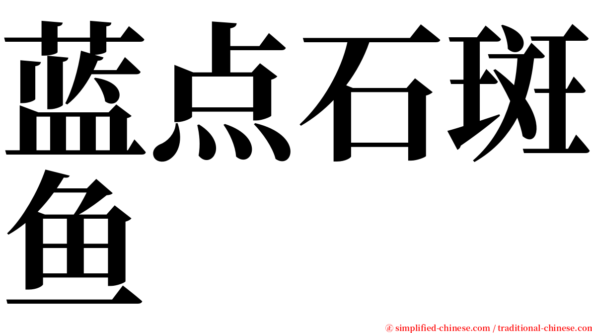 蓝点石斑鱼 serif font