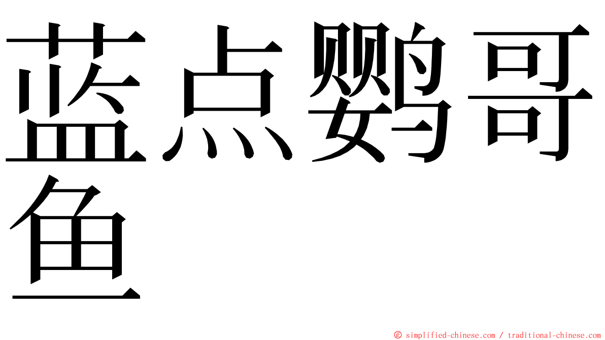 蓝点鹦哥鱼 ming font