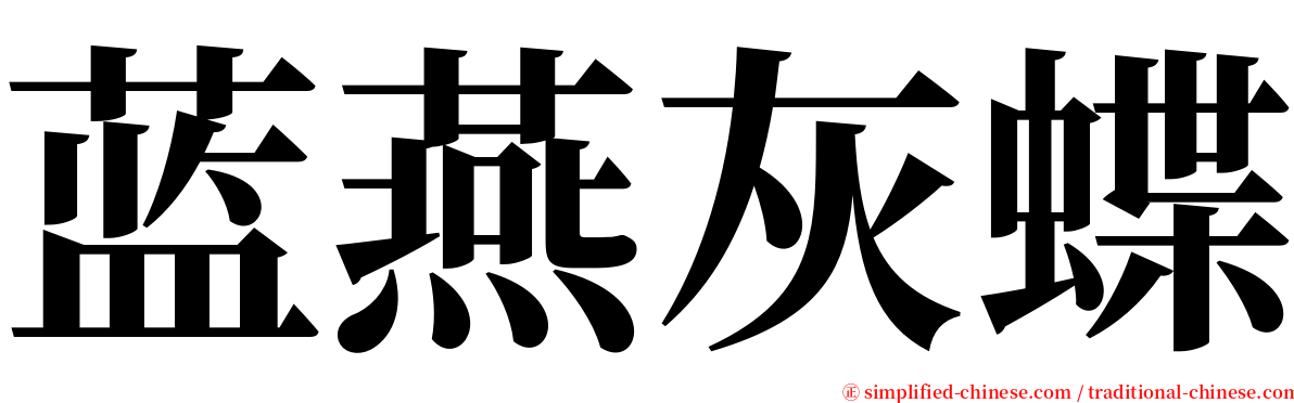 蓝燕灰蝶 serif font