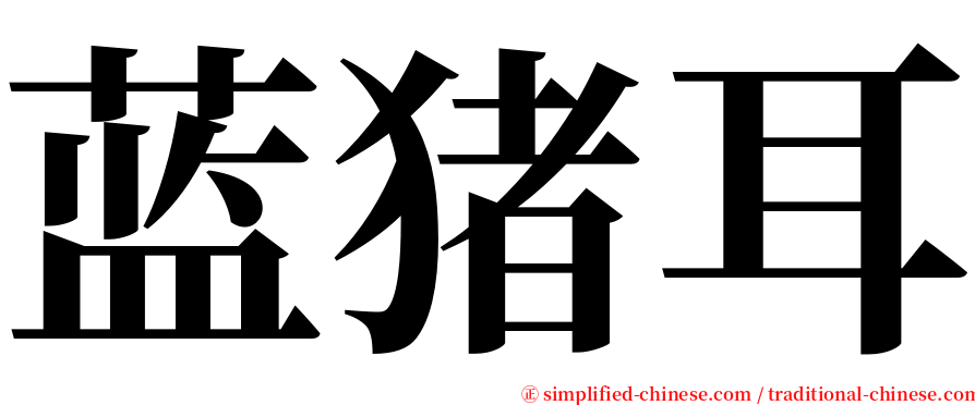 蓝猪耳 serif font