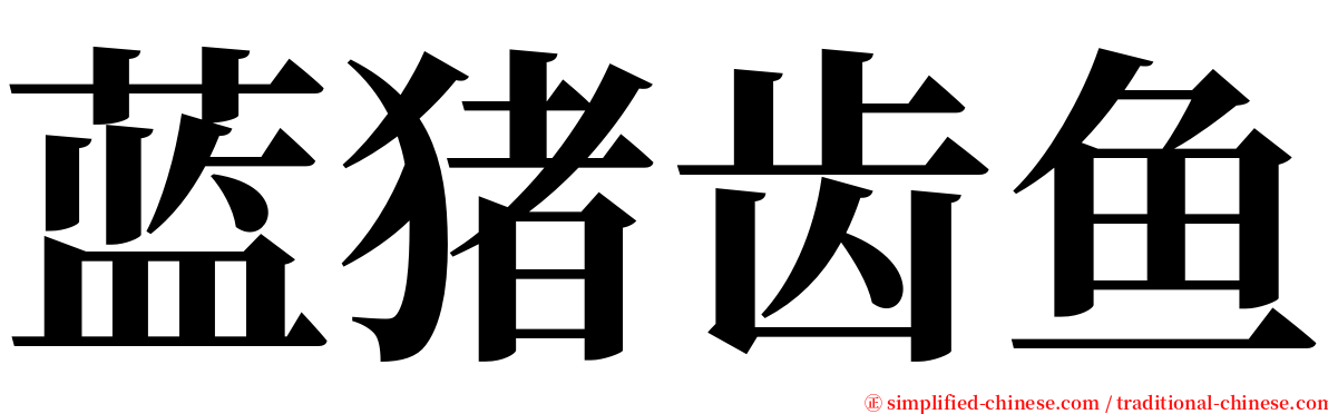 蓝猪齿鱼 serif font