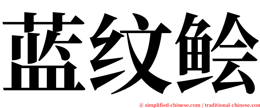 蓝纹鲙 serif font