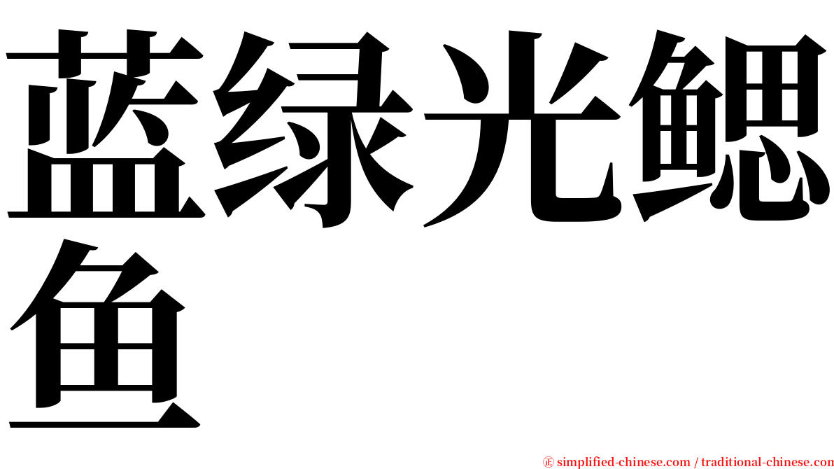 蓝绿光鳃鱼 serif font