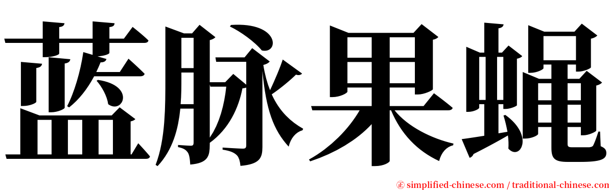 蓝脉果蝇 serif font