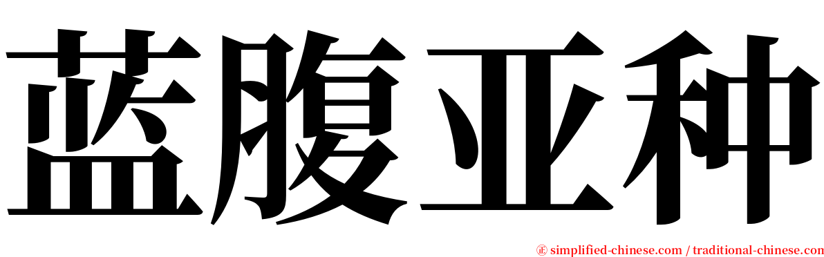 蓝腹亚种 serif font