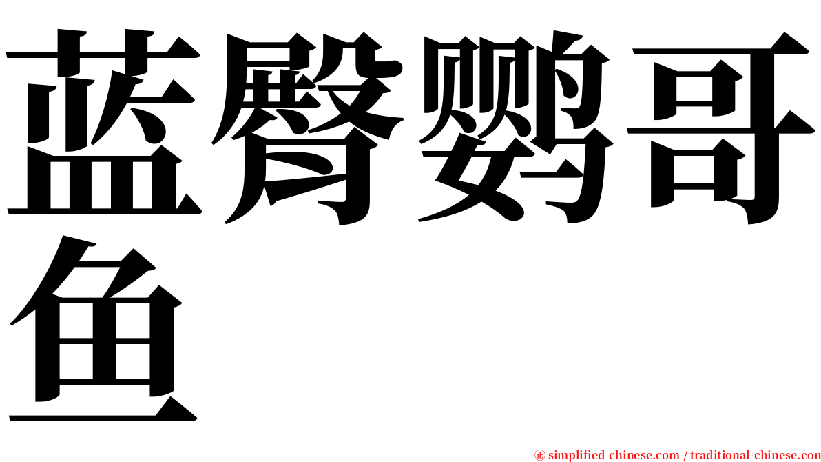 蓝臀鹦哥鱼 serif font