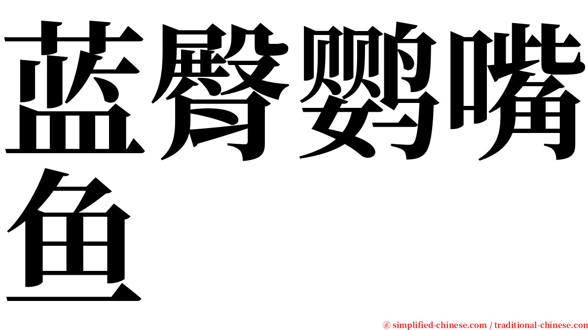 蓝臀鹦嘴鱼 serif font