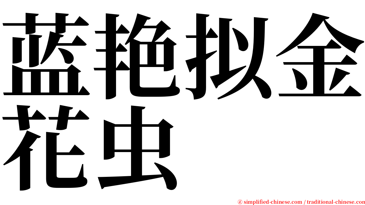 蓝艳拟金花虫 serif font