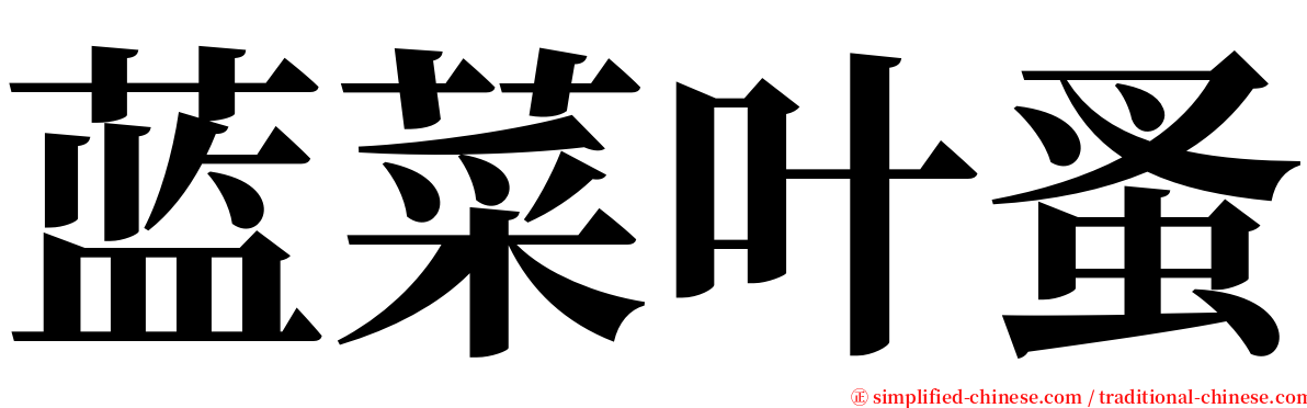 蓝菜叶蚤 serif font