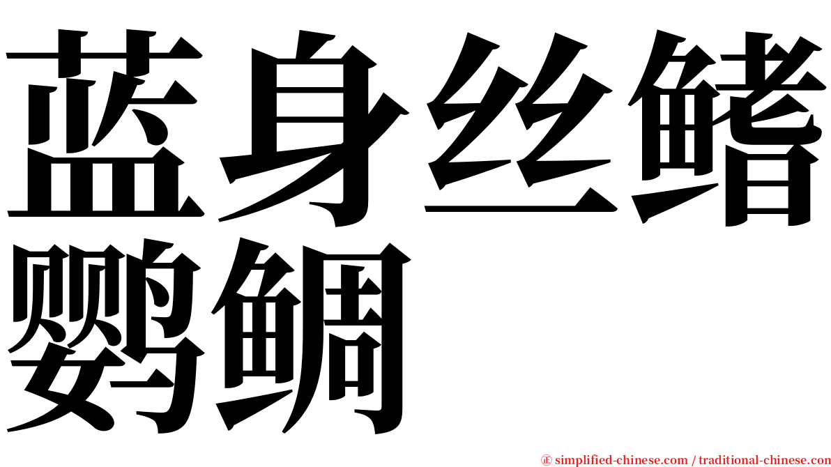 蓝身丝鳍鹦鲷 serif font