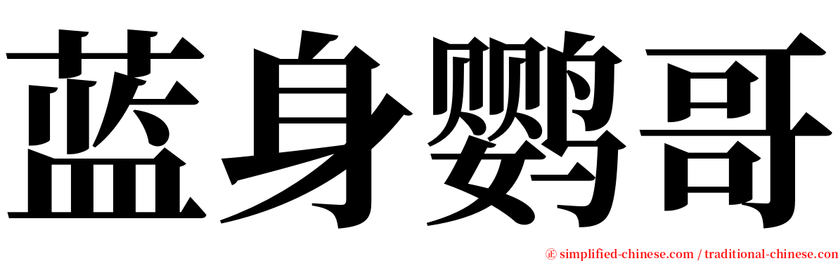 蓝身鹦哥 serif font