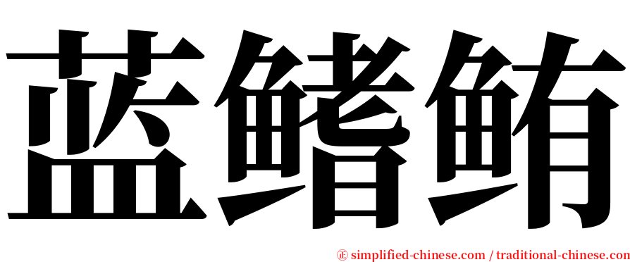 蓝鳍鲔 serif font