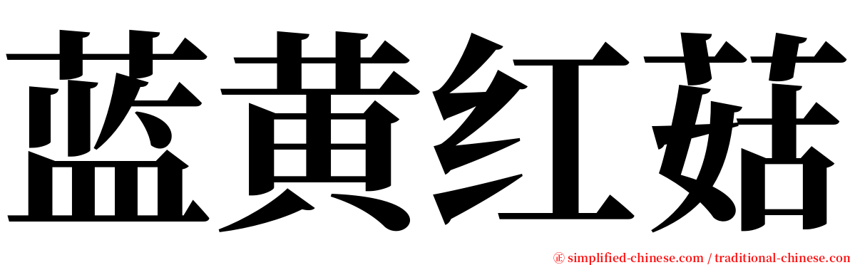 蓝黄红菇 serif font