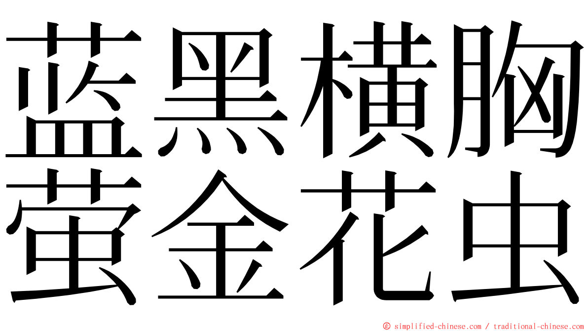 蓝黑横胸萤金花虫 ming font