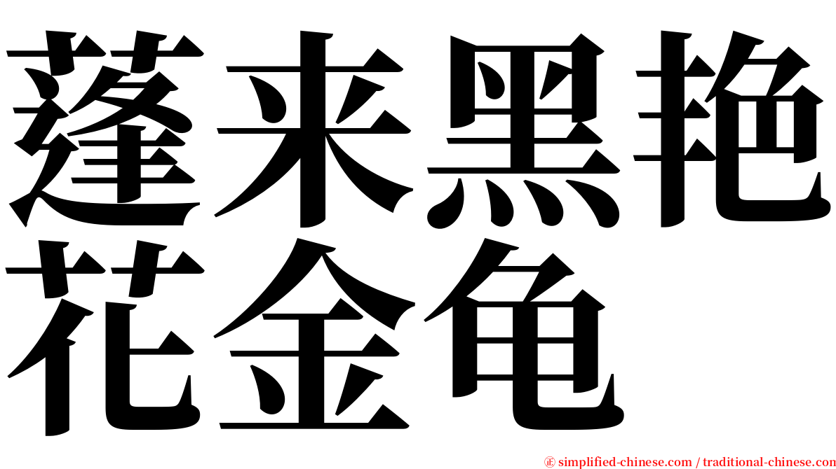 蓬来黑艳花金龟 serif font