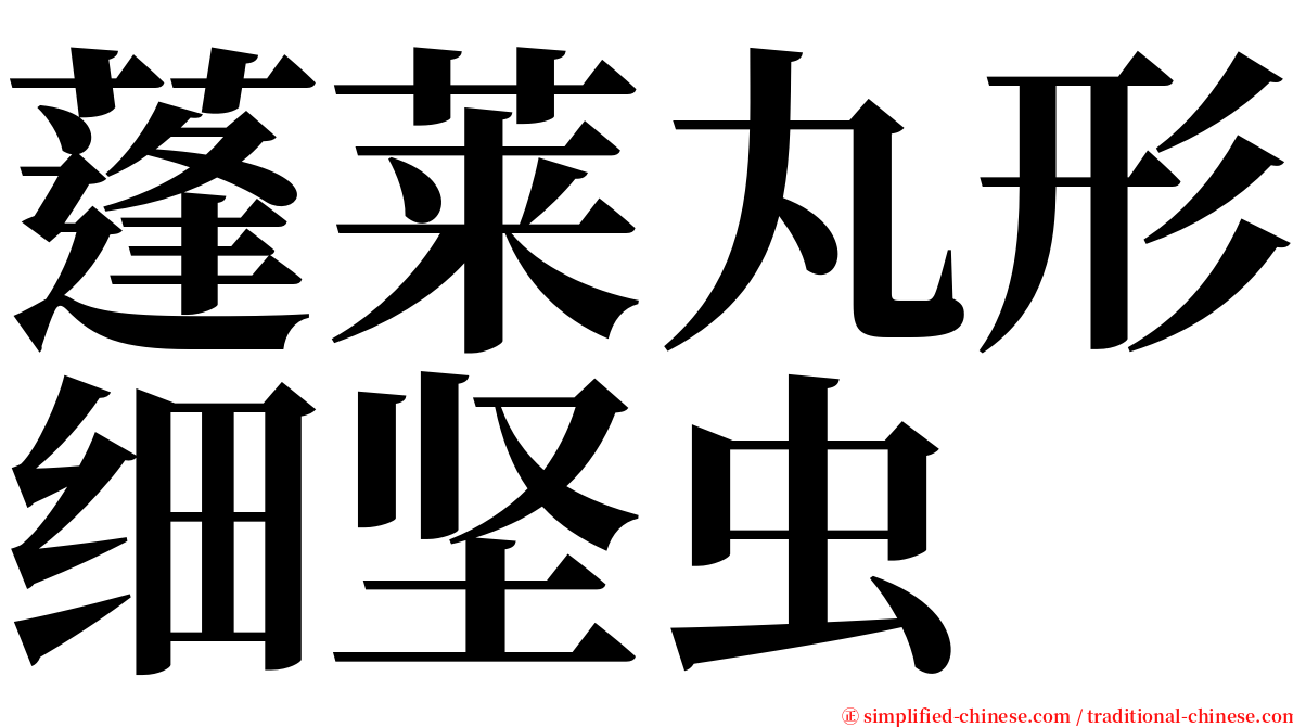 蓬莱丸形细坚虫 serif font